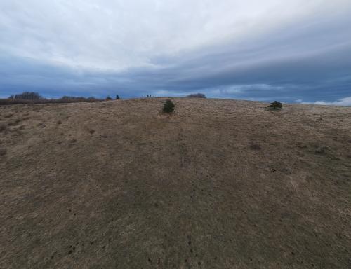 DJI_2229.JPG